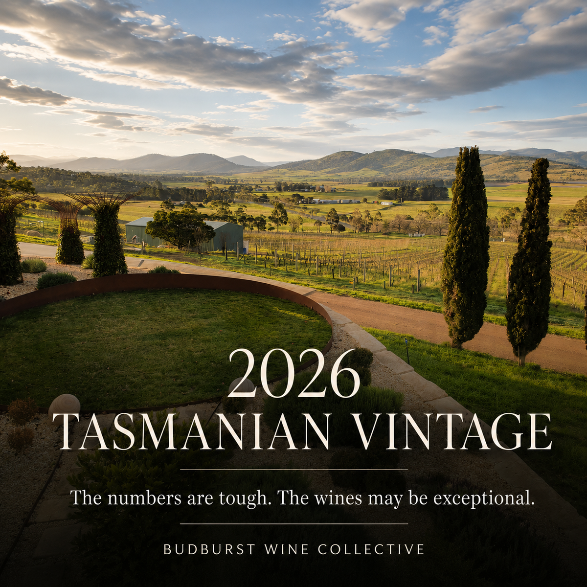 The 2026 Tasmanian Vintage