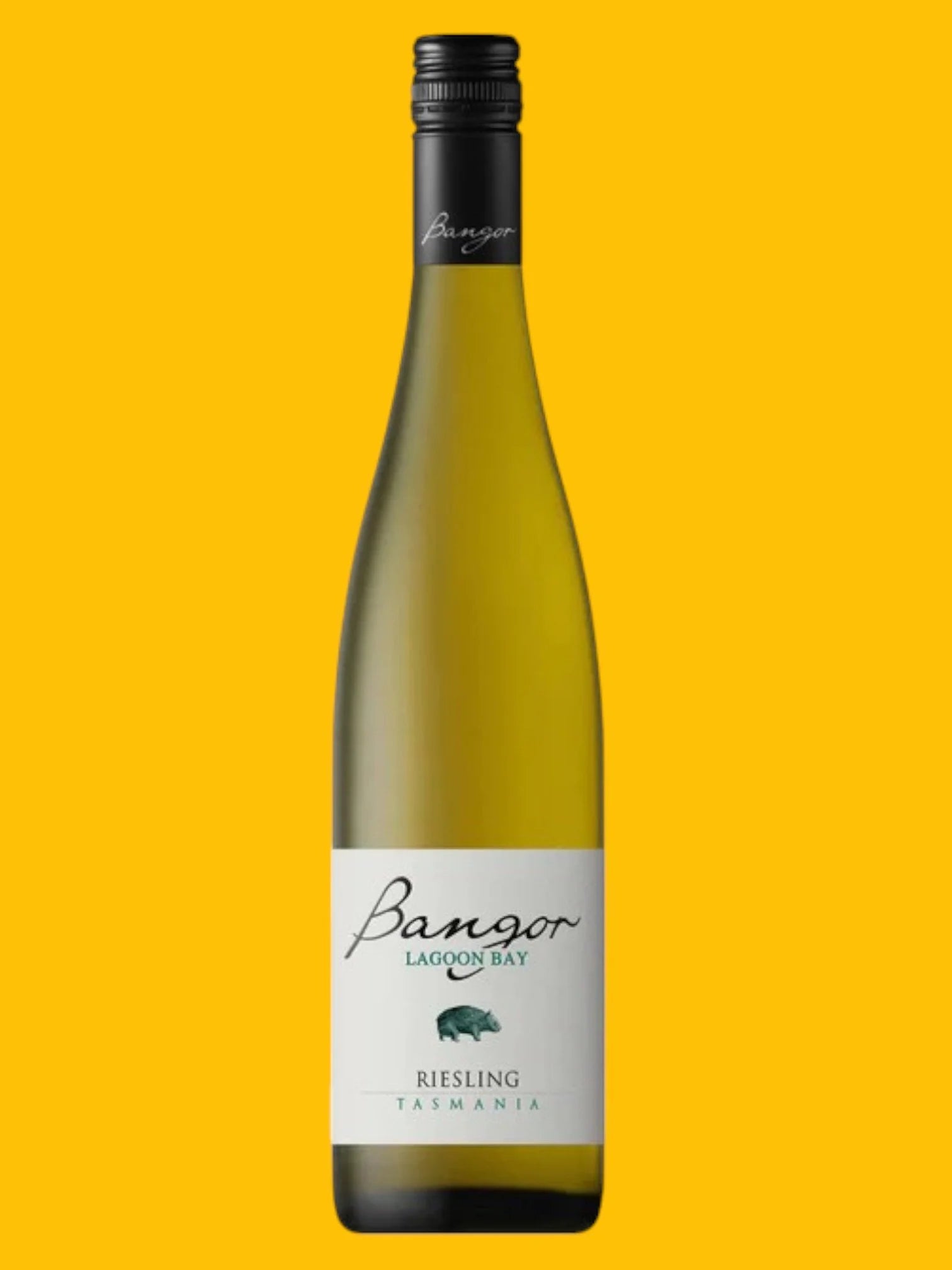Bangor â€˜Lagoon Bayâ€™ Riesling 2024