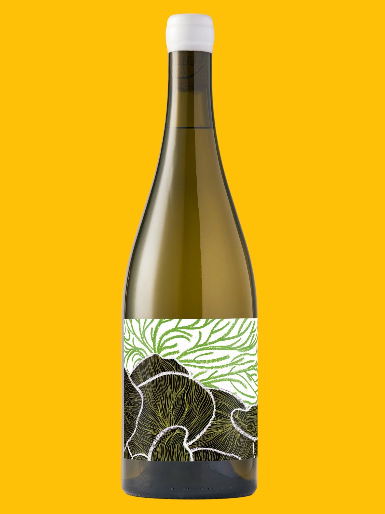 Future Perfect Chardonnay Derwent Valley 2024
