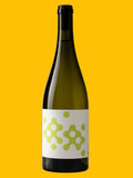 Future Perfect Riesling, Coal Valley 2025