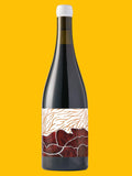 Future Perfect Shiraz, Coal Valley 2024