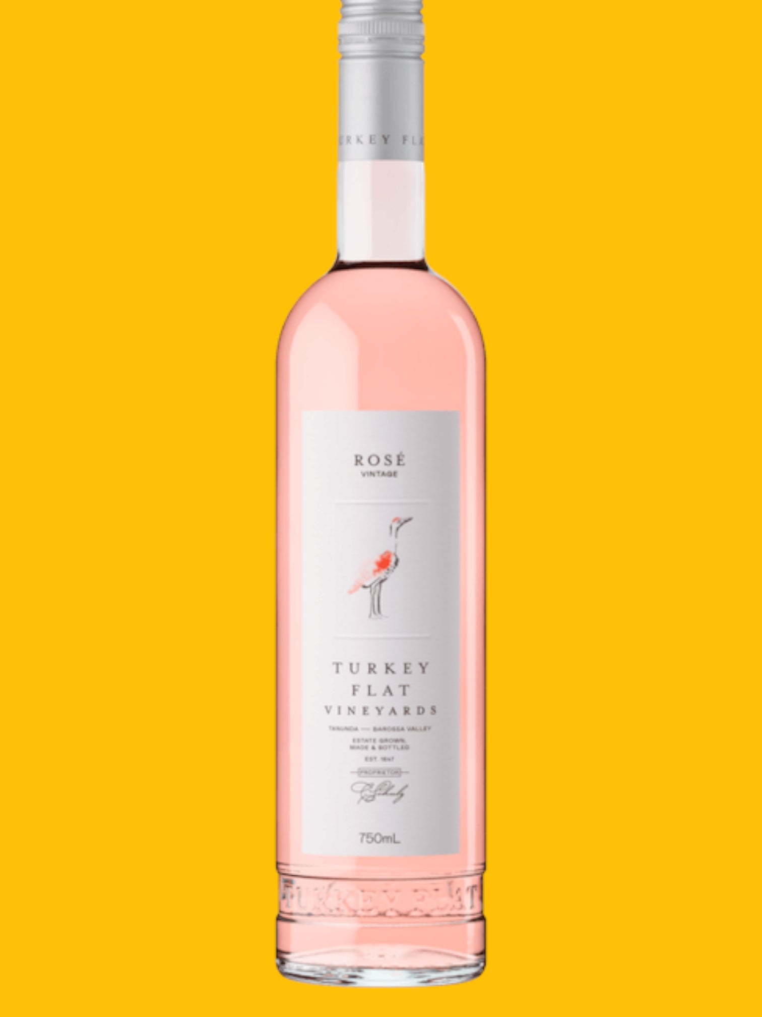 Turkey Flat Rose 2025