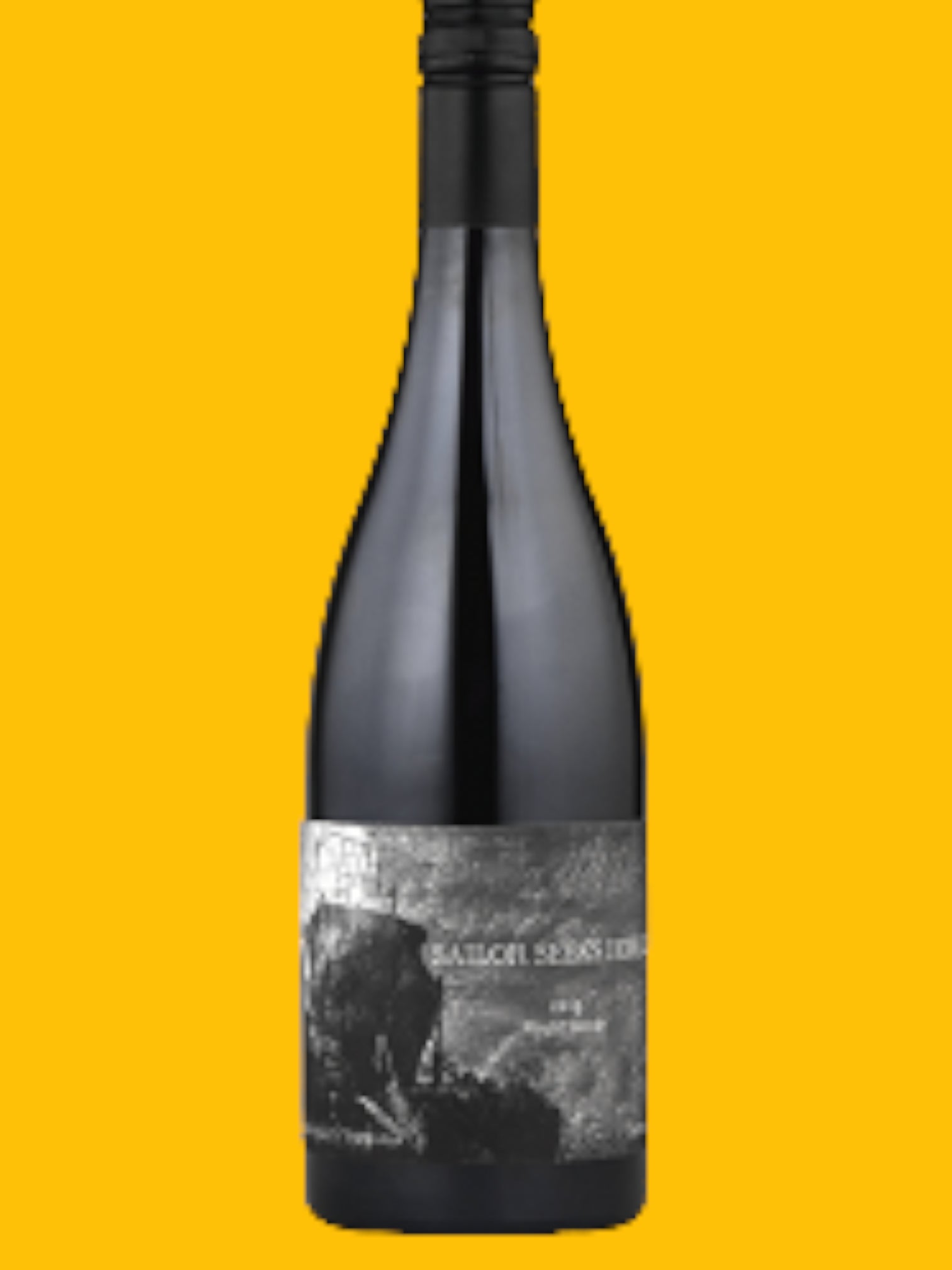 Sailor Seeks Horse Dijon Clones Pinot Noir 2022