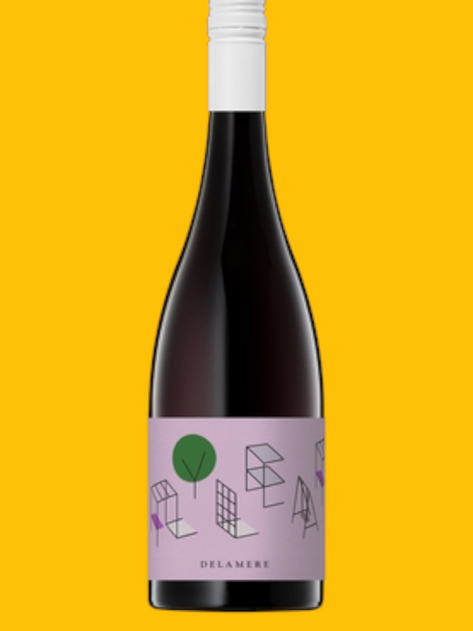 Flyleaf Pinot Noir by Delamere 2024